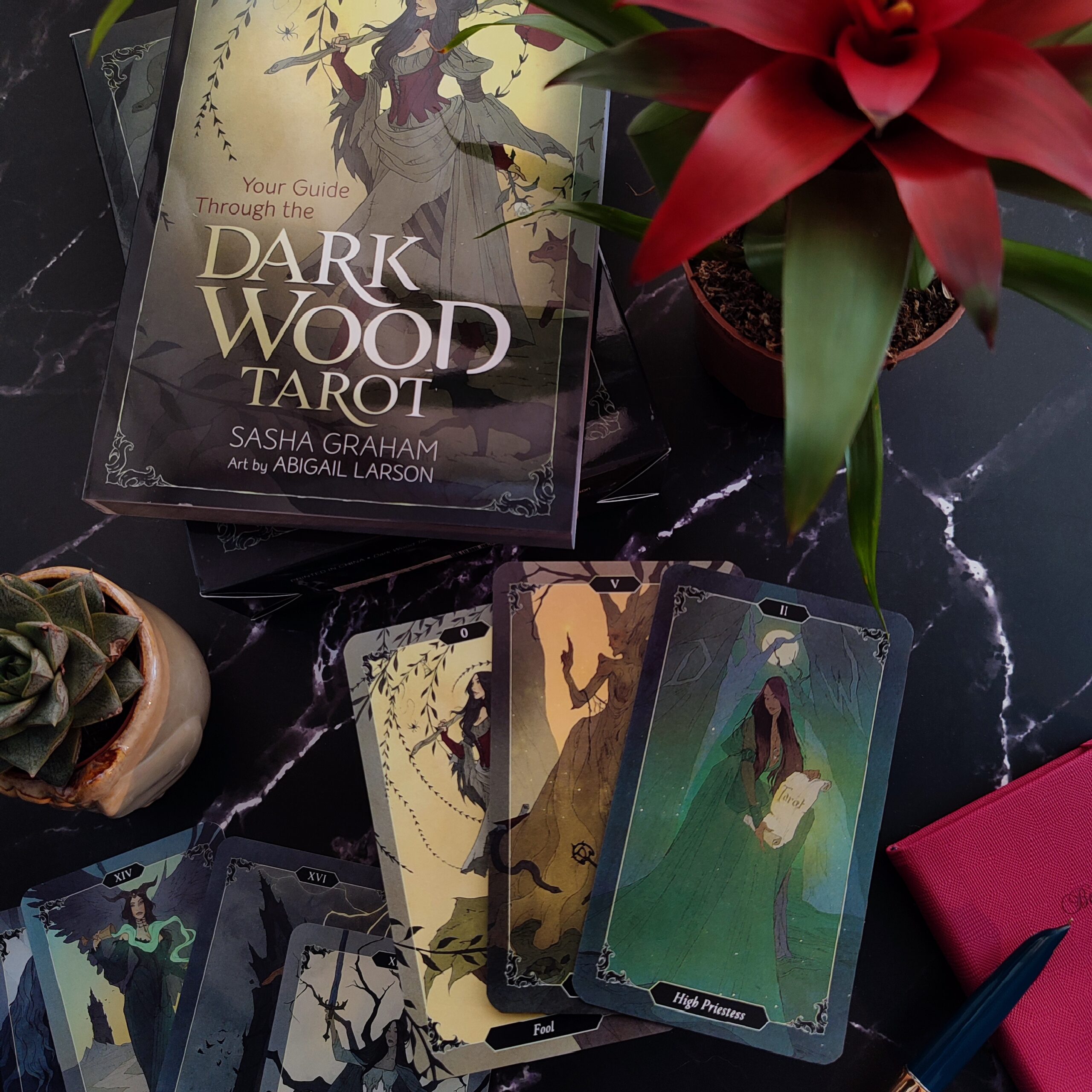 Dark Wood Tarot | Таро Темного лісу - Зображення 2