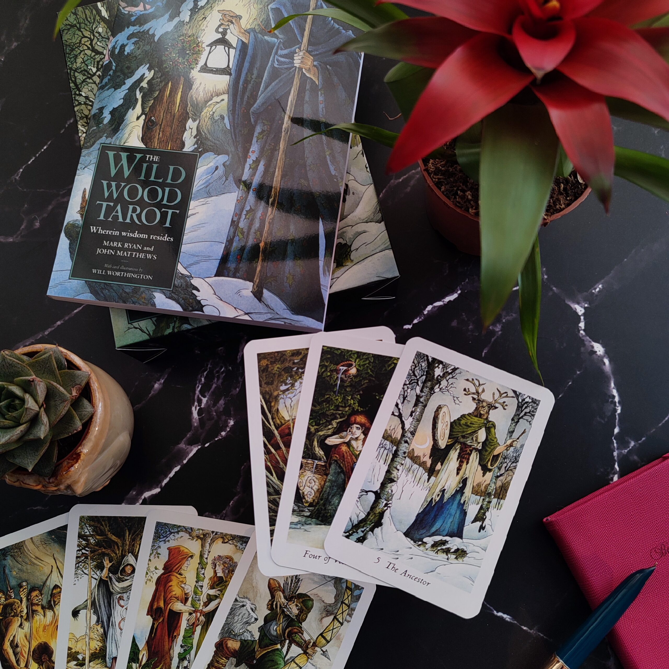 The Wildwood Tarot | Таро Дикого Лісу - Зображення 2