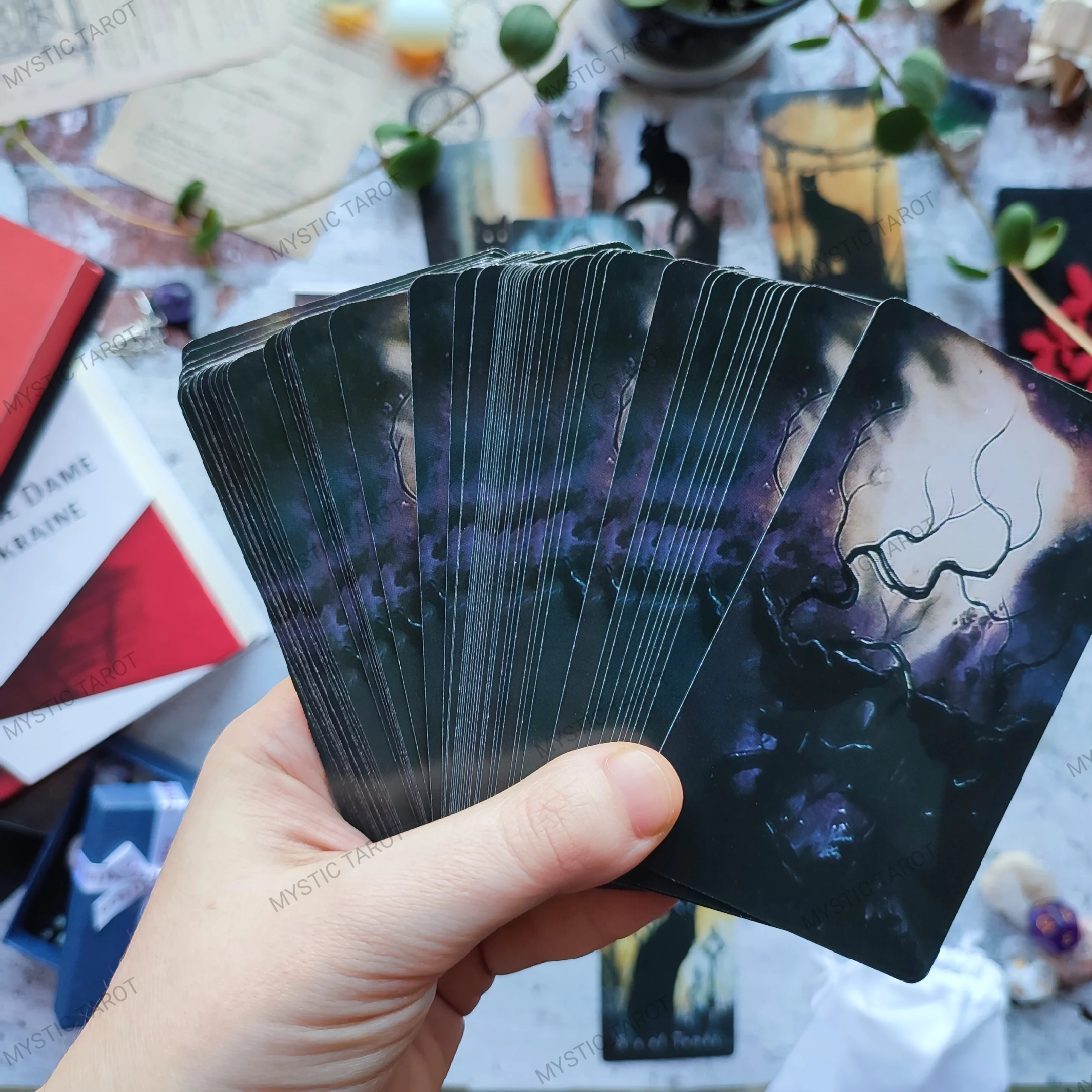 Таро Кота-привида | Haunted Cat Tarot - Зображення 7