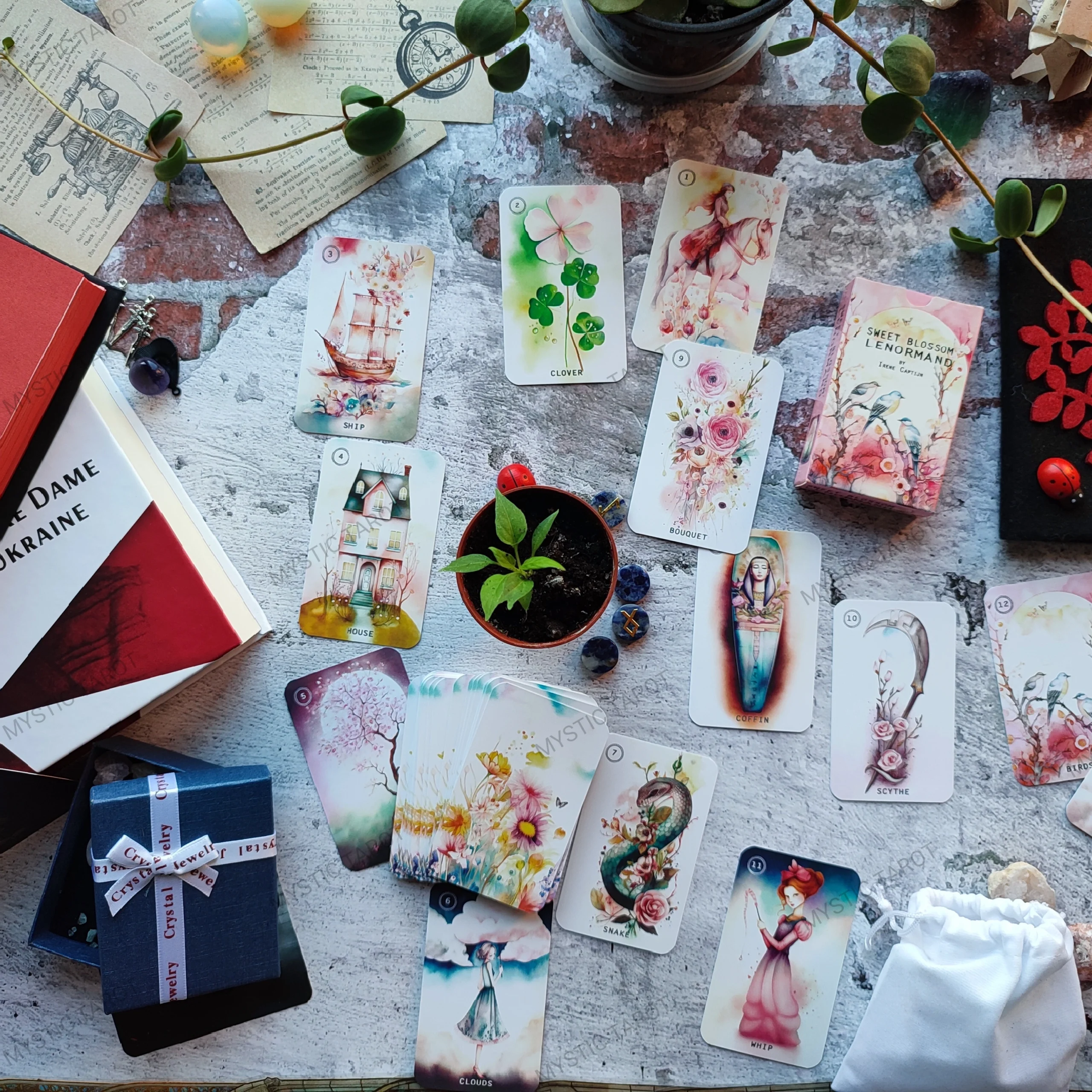 купити Солодка квітка Ленорман — весняний оракул Sweet Blossom Lenormand