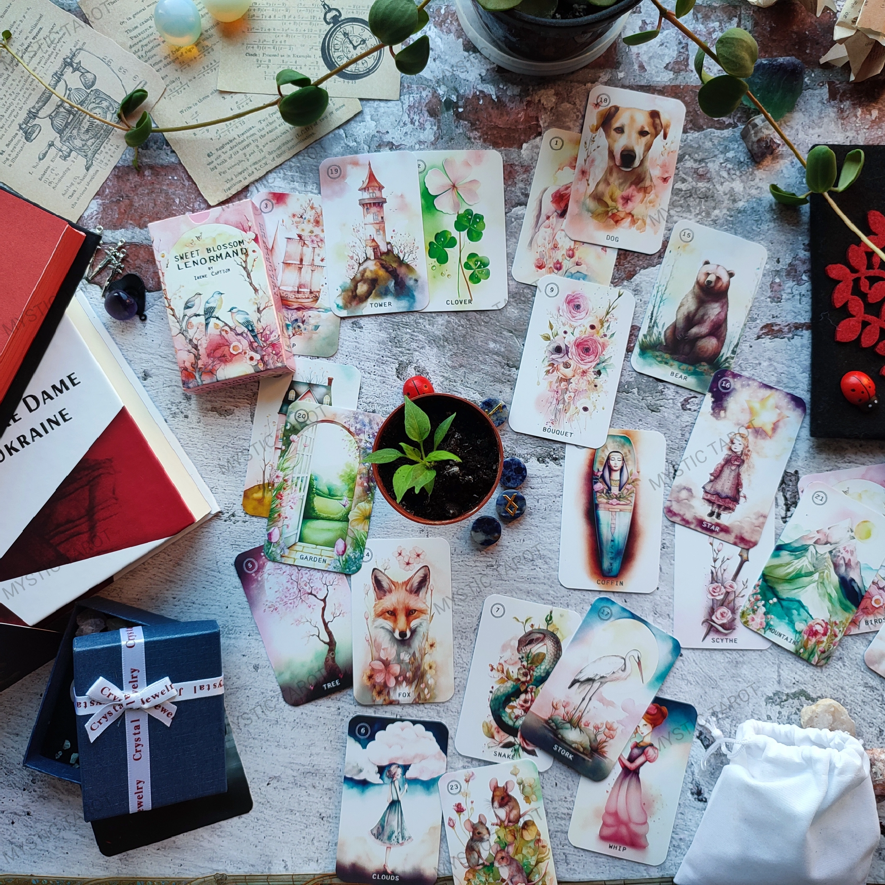 Солодка квітка Ленорман | Sweet Blossom Lenormand - Зображення 9